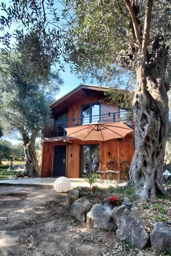 Coratina Cottage Ulcinj Eksteriør bilde